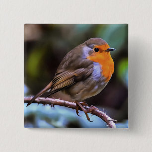 Bóton Quadrado 5.08cm Plump Robin Perch Em Uma Arte De Vida Selvagem De
