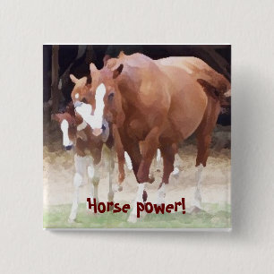 Bóton Quadrado 5.08cm Poder de cavalo! Botão