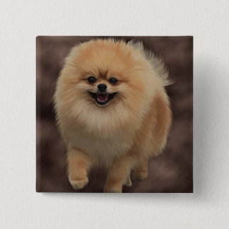 Bóton Quadrado 5.08cm Pomeranian