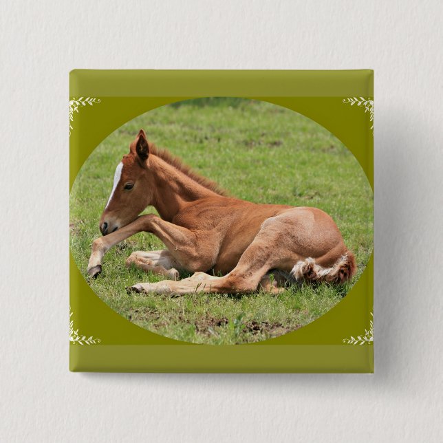 Bóton Quadrado 5.08cm Pony Button (Frente)