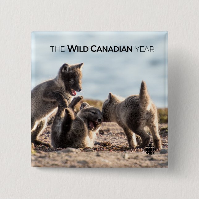 Bóton Quadrado 5.08cm Primavera - Raposa Árctica (Frente)