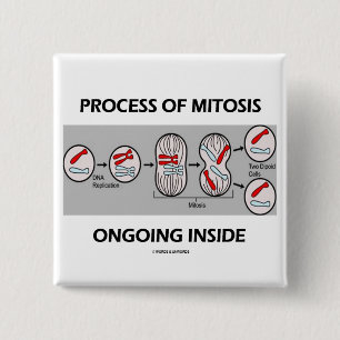 Bóton Quadrado 5.08cm Processo de interior em curso da cariocinese