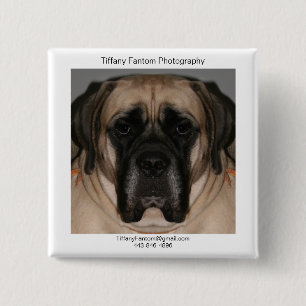 Bóton Quadrado 5.08cm Promo da margarida