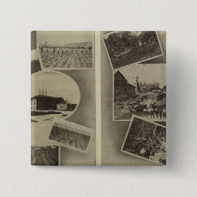 Bóton Quadrado 5.08cm prosperidade agrícola, Oregon (Frente)