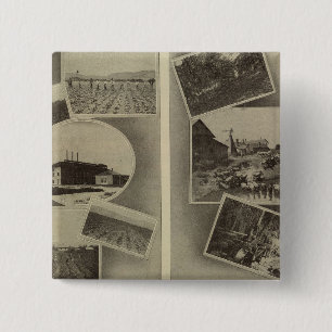 Bóton Quadrado 5.08cm prosperidade agrícola, Oregon