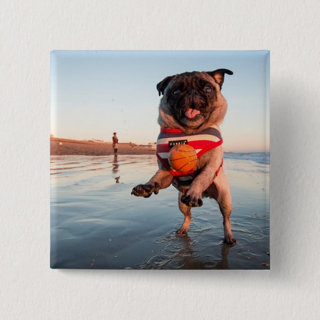 Bóton Quadrado 5.08cm Pug Plays Ball on Beach (Frente)
