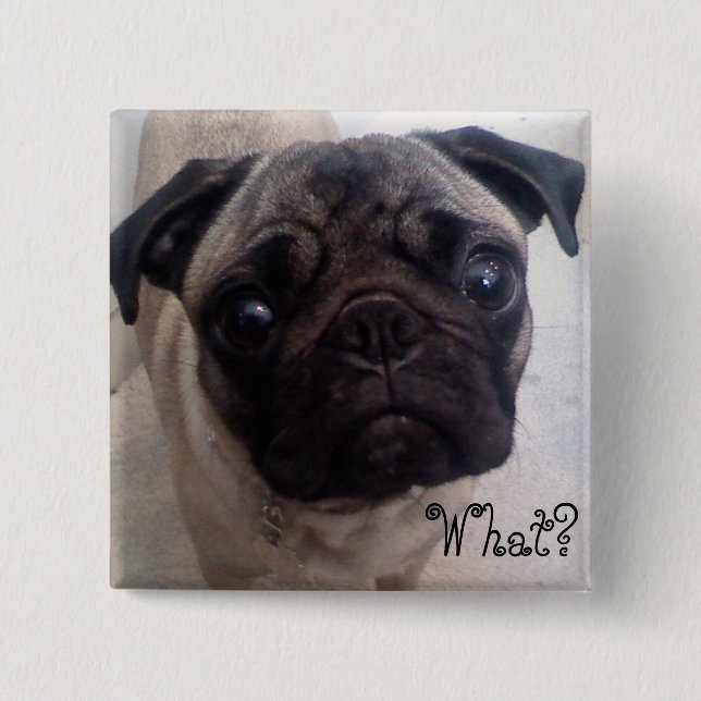 Bóton Quadrado 5.08cm Pug que? (Frente)