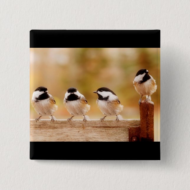 Bóton Quadrado 5.08cm Quatro chickadees pequenos (Frente)