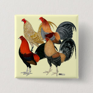 Bóton Quadrado 5.08cm Quatro Gamecocks