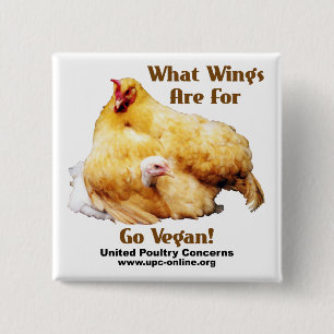 Bóton Quadrado 5.08cm Que asas seja para - vai o Vegan