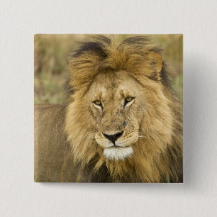 Bóton Quadrado 5.08cm Quênia Masai Mara