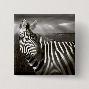 Bóton Quadrado 5.08cm Quênia. Preto e branco de zebra e planície.