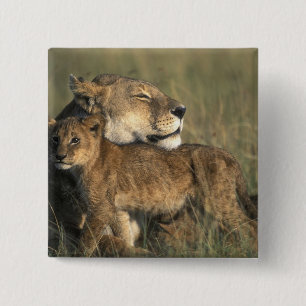 Bóton Quadrado 5.08cm Quênia, Reserva de Caça Masai Mara, Leoa