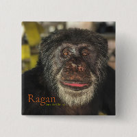 Ragan, salve os chimpanzés