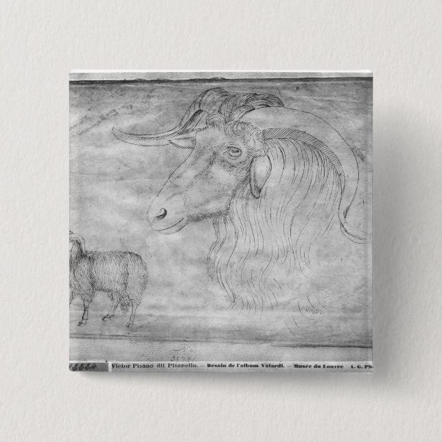 Bóton Quadrado 5.08cm Ram e cabeça de uma ram (Frente)