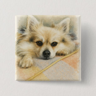 Bóton Quadrado 5.08cm Retrato de cachorro Chihuahua Pomerânia aquarela