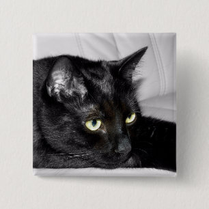 Bóton Quadrado 5.08cm Retrato de Gato Preto Fofo