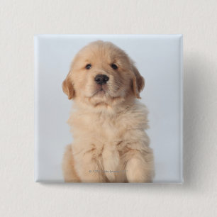 Bóton Quadrado 5.08cm Retrato de seis filhotes de cachorro semanas de