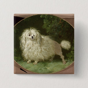 Bóton Quadrado 5.08cm Retrato de uma caniche