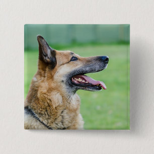 Bóton Quadrado 5.08cm Retrato German shepherd