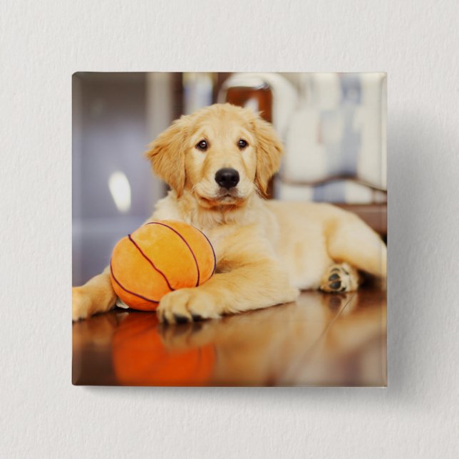 Bóton Quadrado 5.08cm Retriever ouro Com Brinquedo De Basquete (Frente)