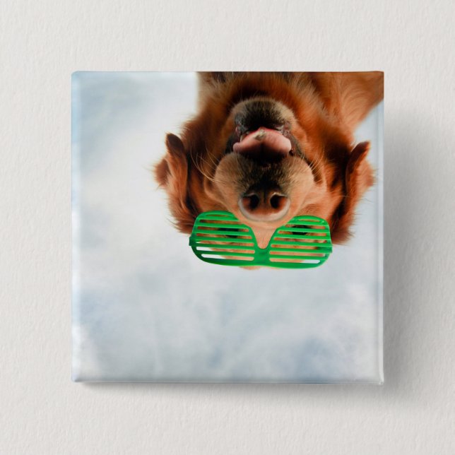 Bóton Quadrado 5.08cm Retriever ouro com óculos de sol verdes (Frente)