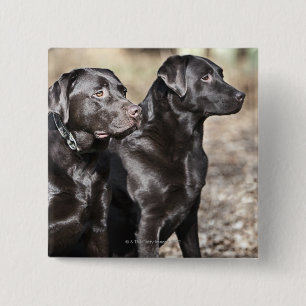 Bóton Quadrado 5.08cm Retrievers de Labrador pretos