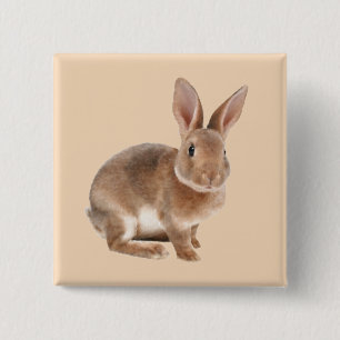 Bóton Quadrado 5.08cm Rex Rabbit