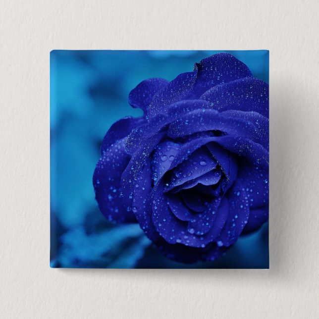 Bóton Quadrado 5.08cm Rosa de Dewdrop Azul (Frente)