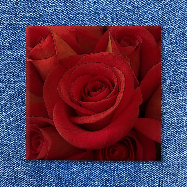 Bóton Quadrado 5.08cm Rosa vermelha Photo Art (Red Rose Photo Art Button Square Shape
)