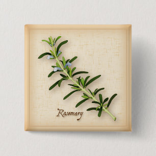Bóton Quadrado 5.08cm Rosemary Herb