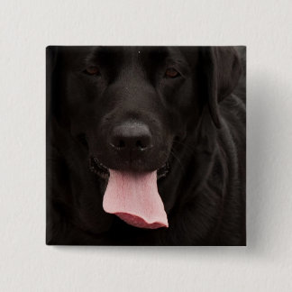 Bóton Quadrado 5.08cm Rosto de cachorro preto