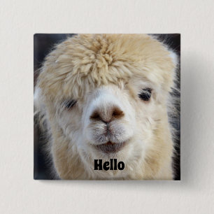 Bóton Quadrado 5.08cm Rosto fofo de alpaca