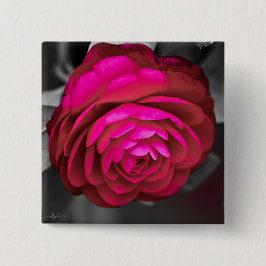 Bóton Quadrado 5.08cm Rosy Camellia