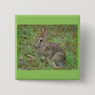 Bóton Quadrado 5.08cm Roupa e presentes no cotovelo oriental do Coelho S