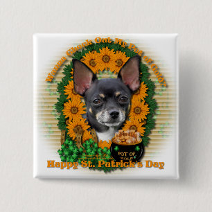 Bóton Quadrado 5.08cm Rua Patricks - pote de ouro - chihuahua - Isabella