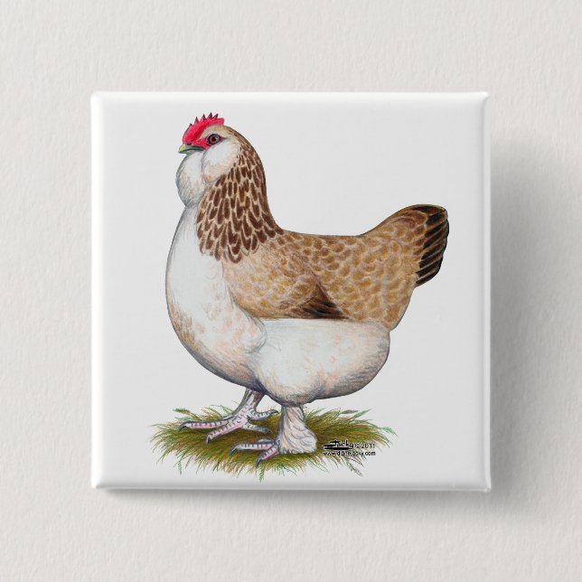 Bóton Quadrado 5.08cm Salmão Faverolle Hen (Frente)