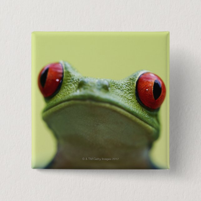 Bóton Quadrado 5.08cm Sapo de olhos vermelhos (Agalychnis callidryas) (Frente)