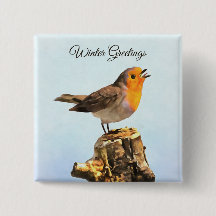 Saudações de Inverno. Robin cantando
