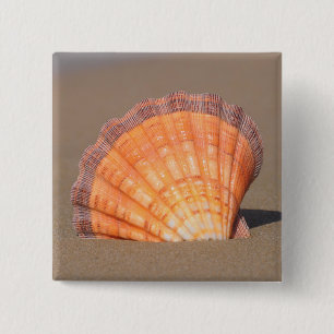 Bóton Quadrado 5.08cm Scallop Shell Crete, piscina