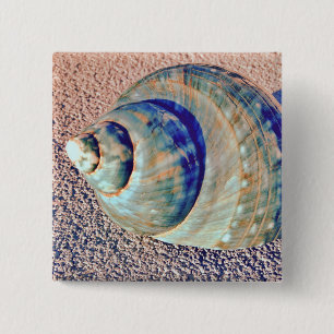 Bóton Quadrado 5.08cm Seashell de Welk do mar
