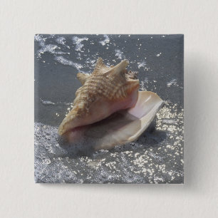 Bóton Quadrado 5.08cm Seashell na ilha da praia Sanibel, Florida