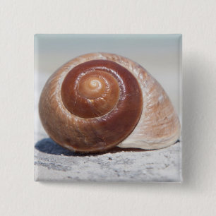 Bóton Quadrado 5.08cm Seashell na praia St Petersburg, Fl
