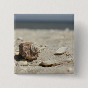 Bóton Quadrado 5.08cm Seashells na areia pelo mar