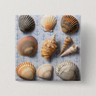 Bóton Quadrado 5.08cm Seashells no contexto da âncora