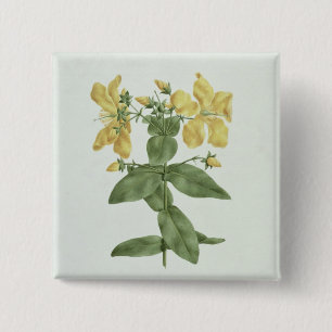 Bóton Quadrado 5.08cm Sensação-Esforço (quartinianum do Hypericum) (w