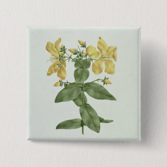 Bóton Quadrado 5.08cm Sensação-Esforço (quartinianum do Hypericum) (w/c (Frente)