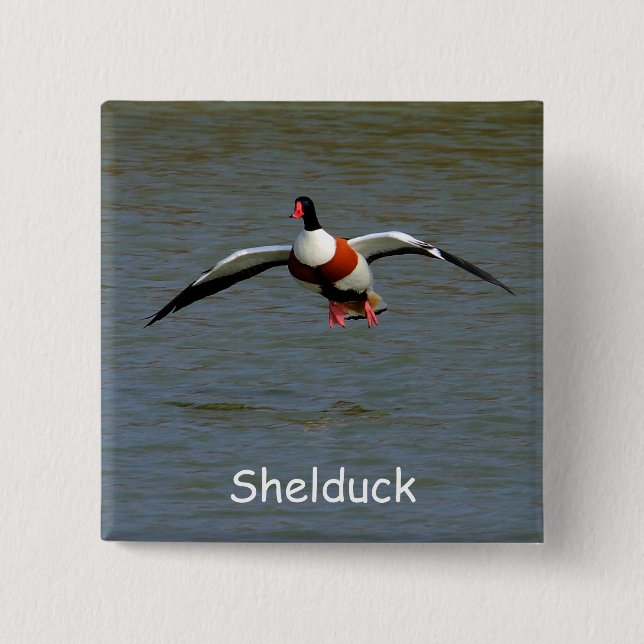 Bóton Quadrado 5.08cm Shelduck (Frente)