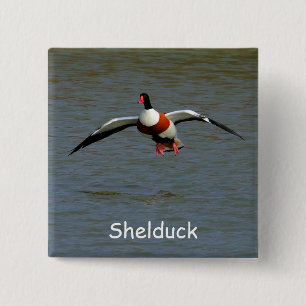Bóton Quadrado 5.08cm Shelduck