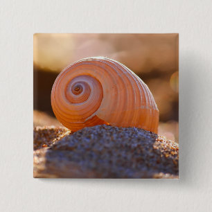 Bóton Quadrado 5.08cm Shell Bokeh Greece